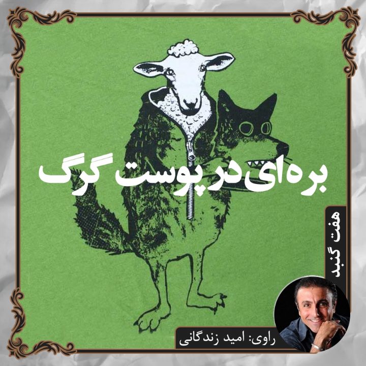 جلد بره ای در پوست گرگ