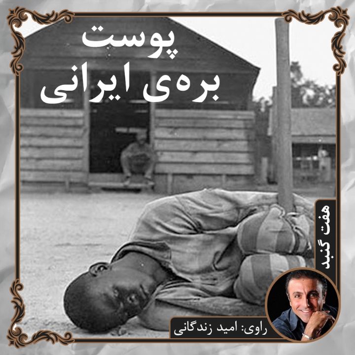 جلد پوست بره ی ایرانی