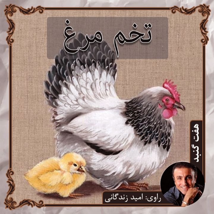 جلد تخم مرغ