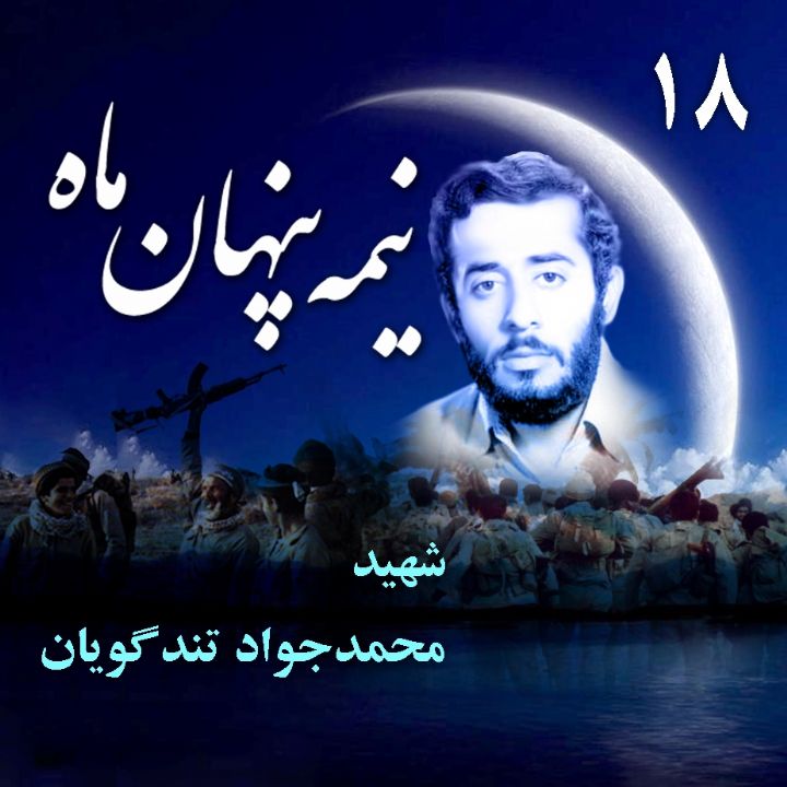 جلد شهید محمدجواد تندگویان