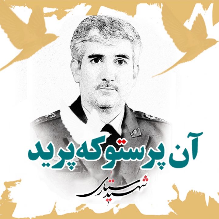 جلد آن پرستو که پرید