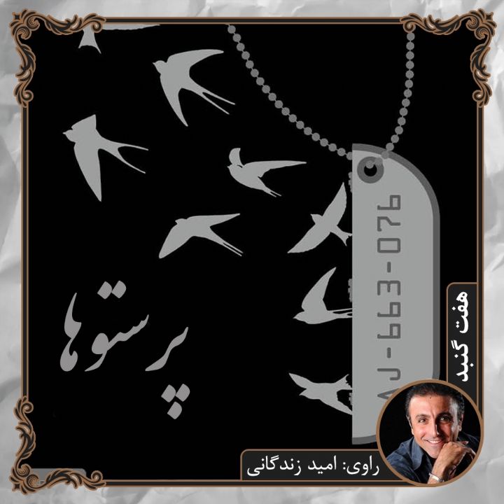جلد پرستوها