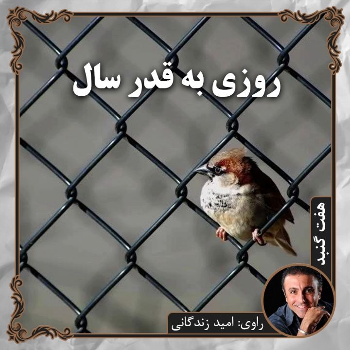 جلد روزی به قدر سال