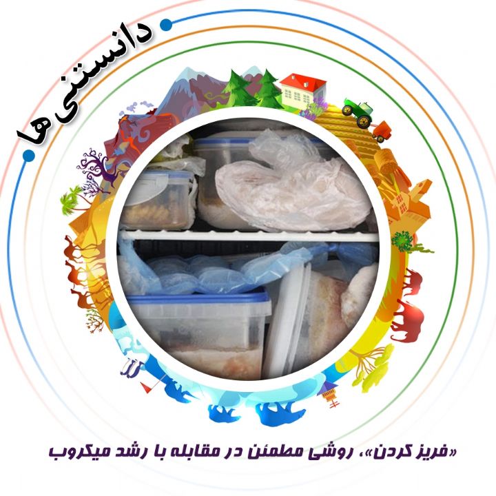 جلد «فریز کردن»، روشی مطمئن در مقابله با رشد میکروب