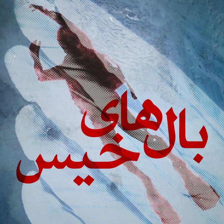 جلد کتاب صوتی بال‌های خیس