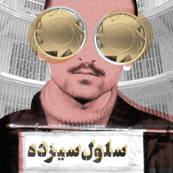 جلد کتاب صوتی سلول سیزده