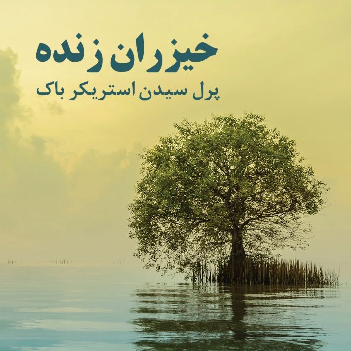جلد کتاب صوتی خیزران زنده