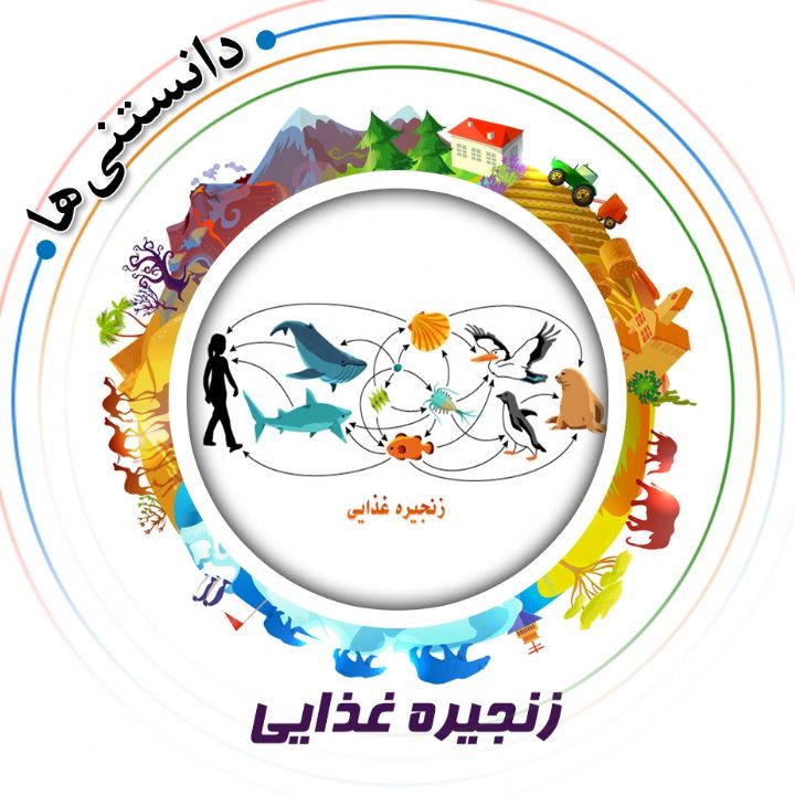 جلد کتاب صوتی زنجیره غذایی