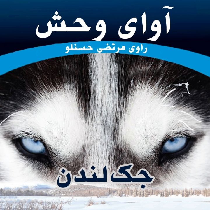 جلد کتاب صوتی آوای وحش (مرتضی حسنلو، مرضیه میرسلیمانی)