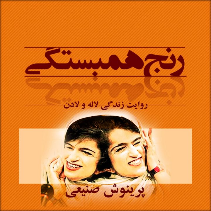 جلد کتاب صوتی رنج همبستگی