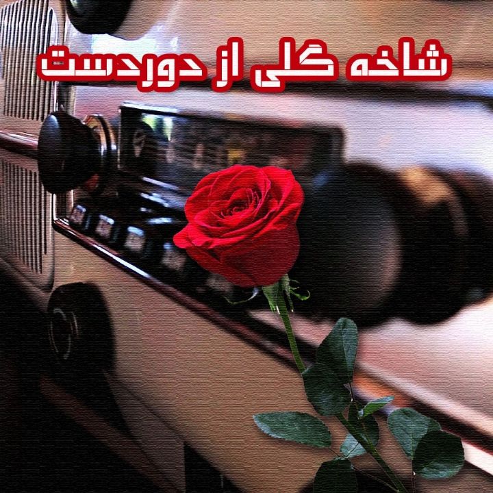 جلد کتاب صوتی شاخه گلی از دوردست
