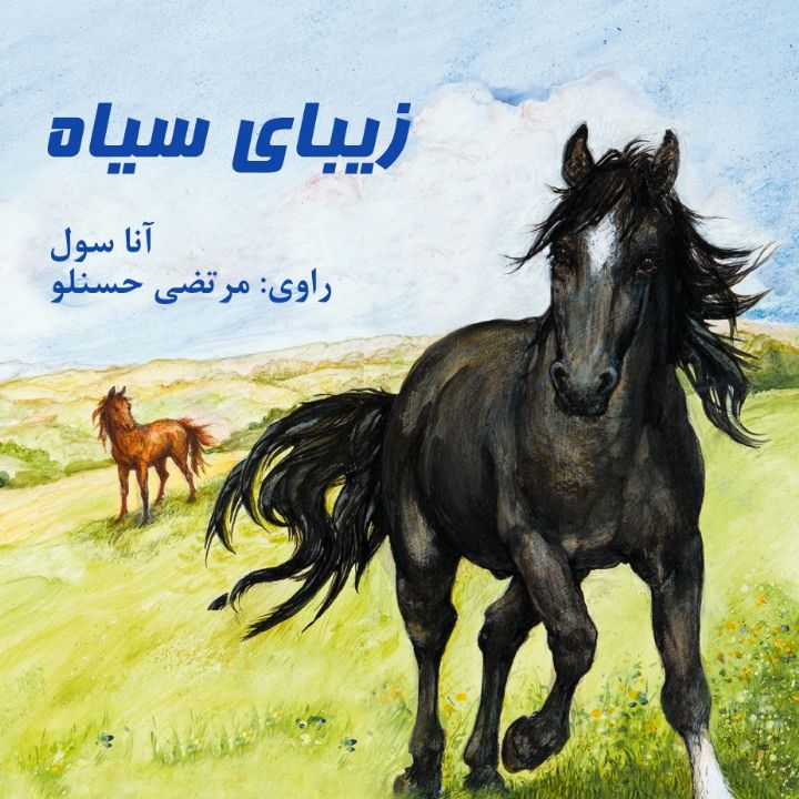 جلد کتاب صوتی زیبای سیاه