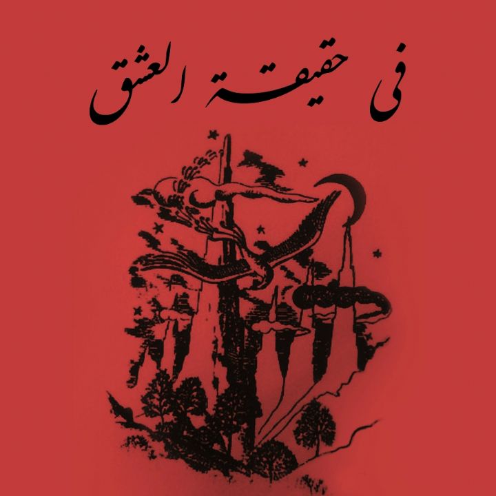 جلد کتاب صوتی فی حقیقة العشق