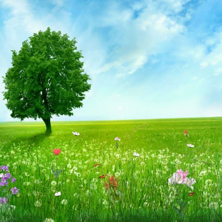 جلد هوای عید