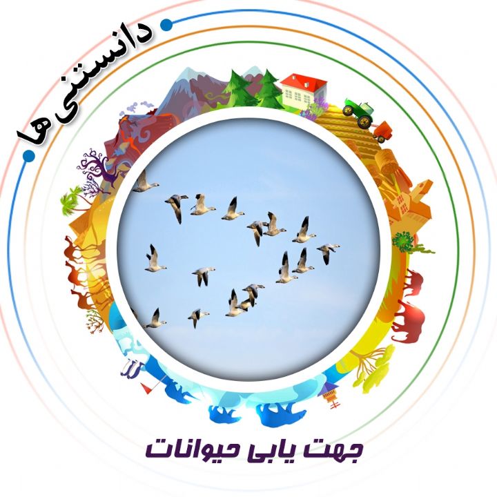 جلد کتاب صوتی جهت یابی حیوانات