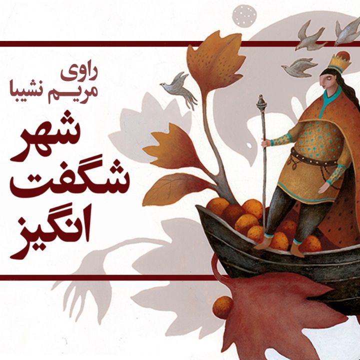 جلد کتاب صوتی شهر شگفت انگیز