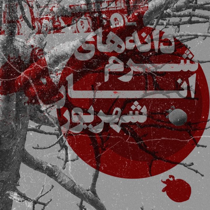 جلد کتاب صوتی دانه‌های شرم انار شهریور