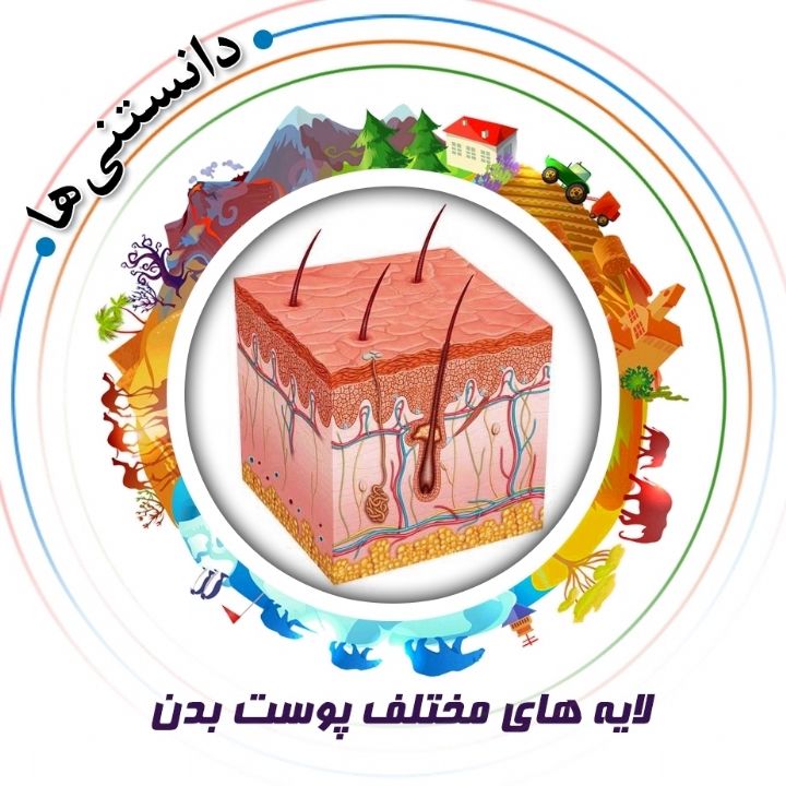 جلد کتاب صوتی لایه های مختلف پوست بدن