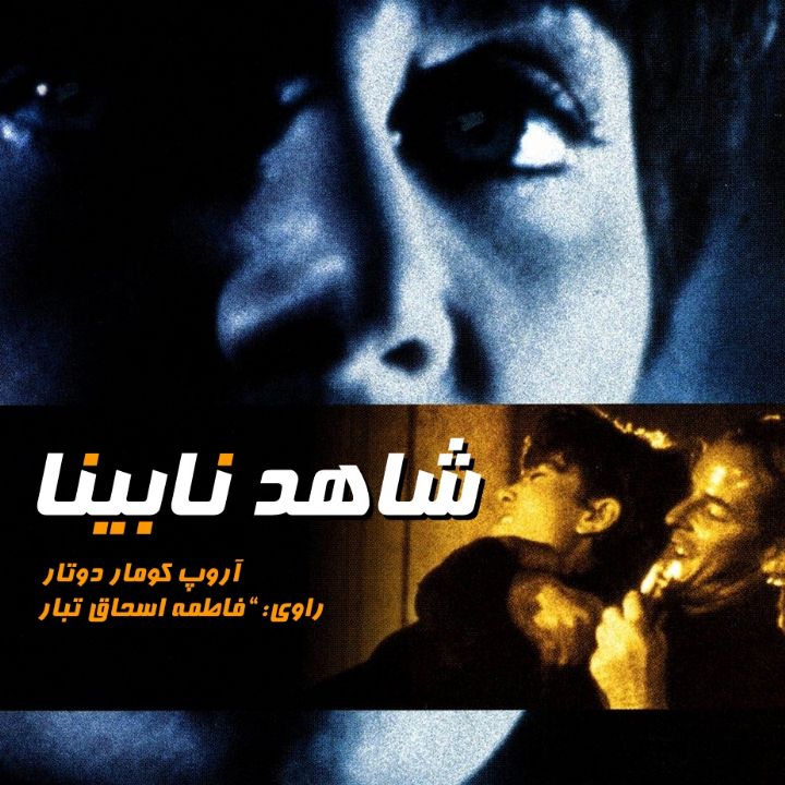 جلد کتاب صوتی شاهد نابینا