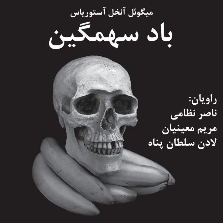 جلد کتاب صوتی باد سهمگین