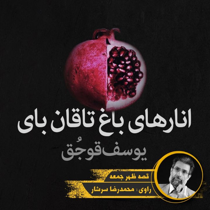 جلد کتاب صوتی انارهای باغ تاقان بای