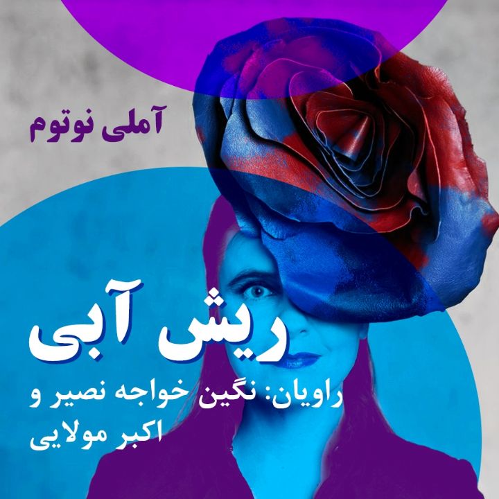 جلد کتاب صوتی ریش آبی