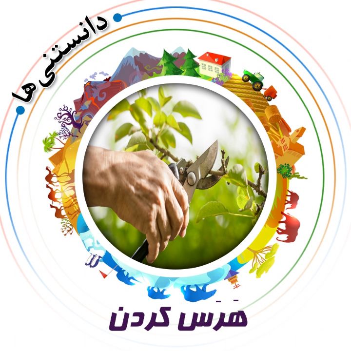 جلد کتاب صوتی هَرَس کردن