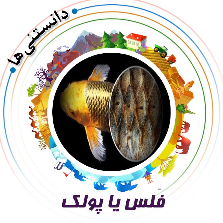 جلد کتاب صوتی فَلس یا پولک