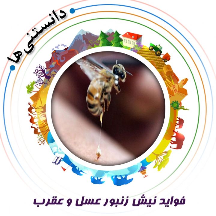 جلد کتاب صوتی فواید نیش زنبور عسل و عقرب