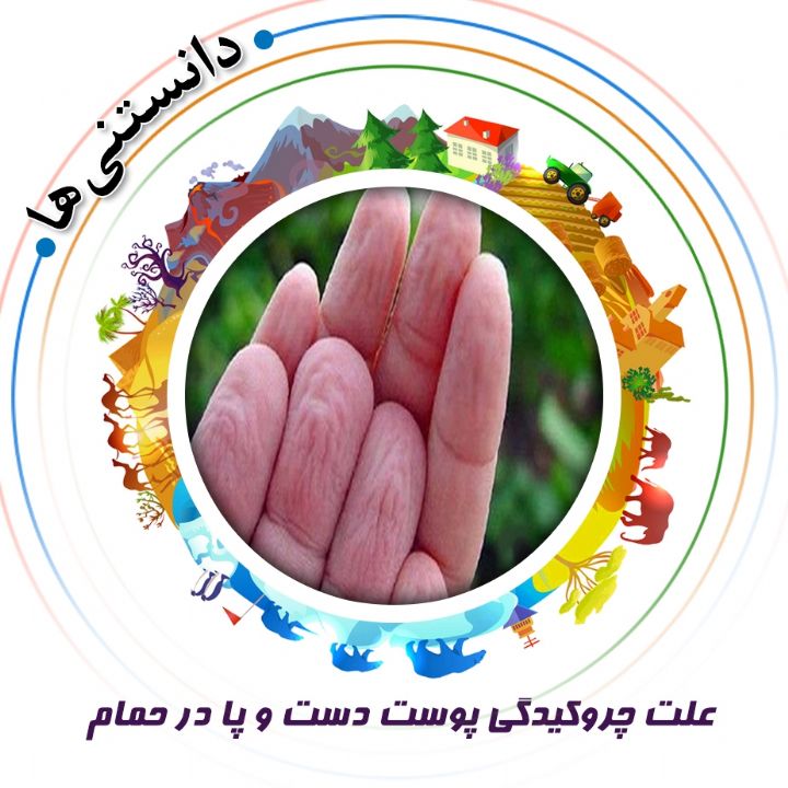 جلد کتاب صوتی علت چروکیدگی پوست دست و پا در حمام