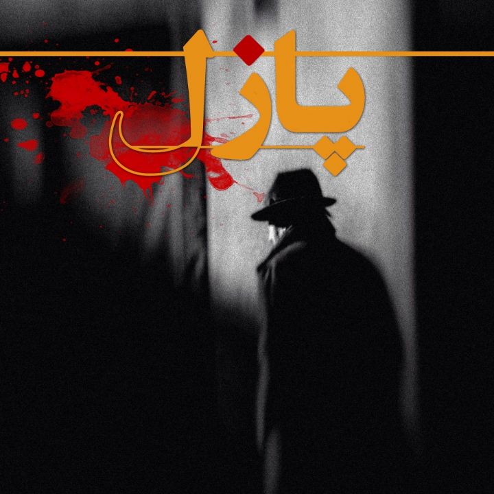 جلد کتاب صوتی پازل (پیروز صدرایی)