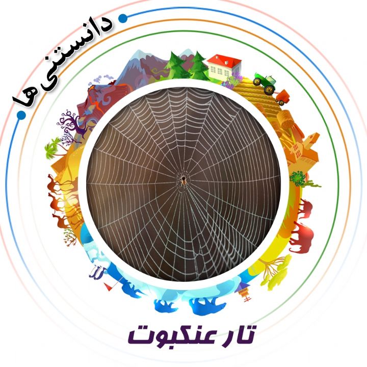 جلد کتاب صوتی تار عنکبوت