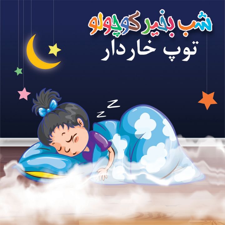 جلد کتاب صوتی توپ خاردار (318627)