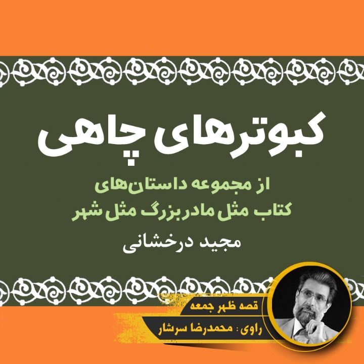جلد کتاب صوتی کبوترهای چاهی
