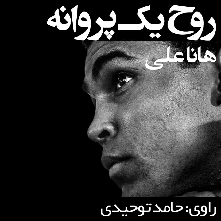 جلد کتاب صوتی روح یک پروانه