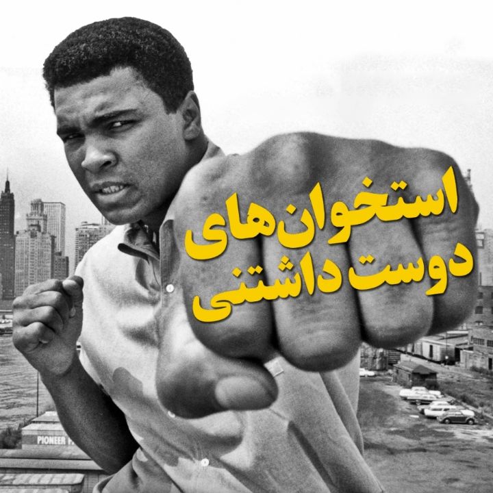 جلد کتاب صوتی استخوان‌های دوست‌داشتنی