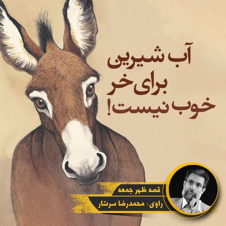جلد کتاب صوتی آب شیرین برای خر خوب نیست!
