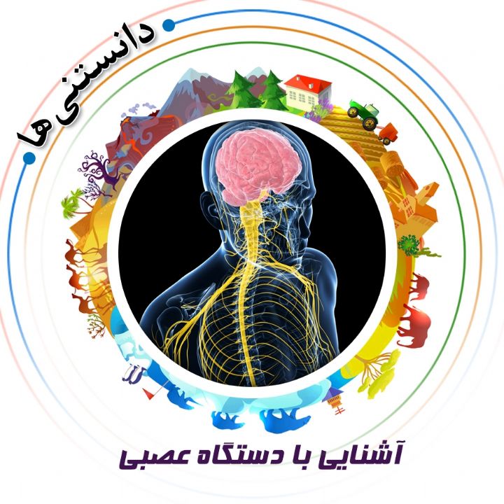 جلد کتاب صوتی آشنایی با دستگاه عصبی