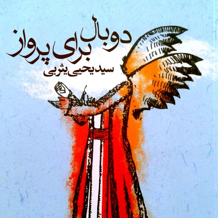 جلد کتاب صوتی دو بال برای پرواز