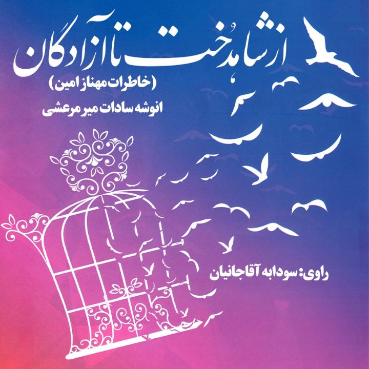 جلد کتاب صوتی از شاهدخت تا آزادگان
