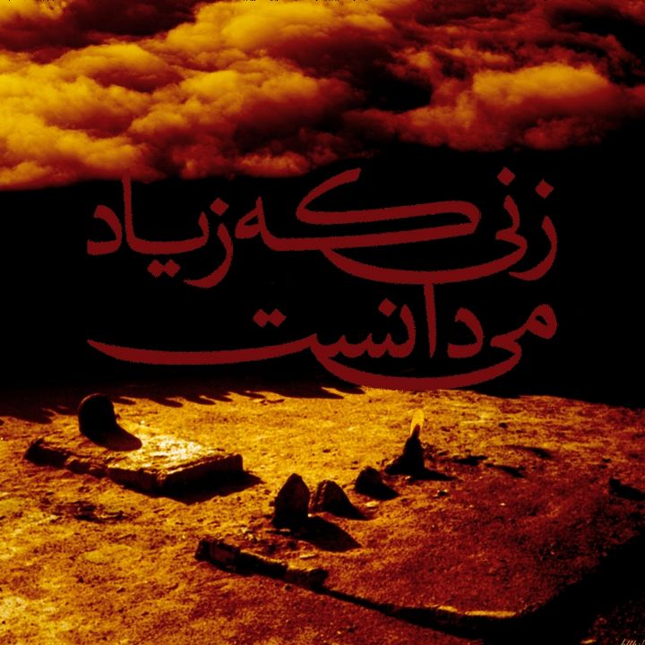 جلد کتاب صوتی زنی که زیاد می دانست