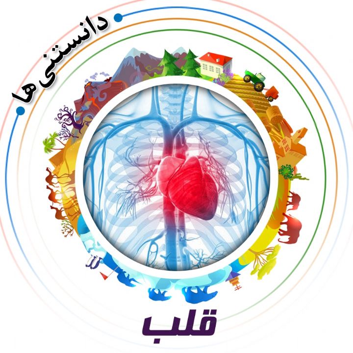 جلد کتاب صوتی قلب
