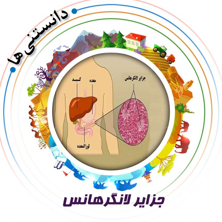 جلد کتاب صوتی جزایر لانگرهانس