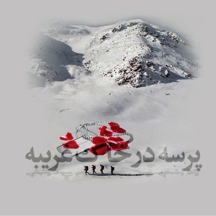 جلد کتاب صوتی پرسه در خاک غریبه