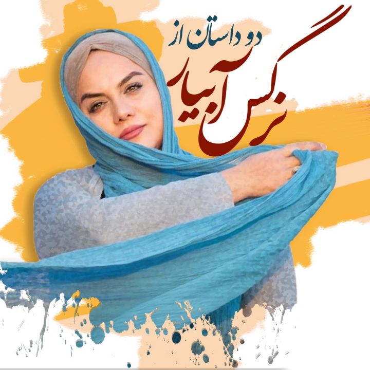 جلد کتاب صوتی دو داستان از نرگس آبیار