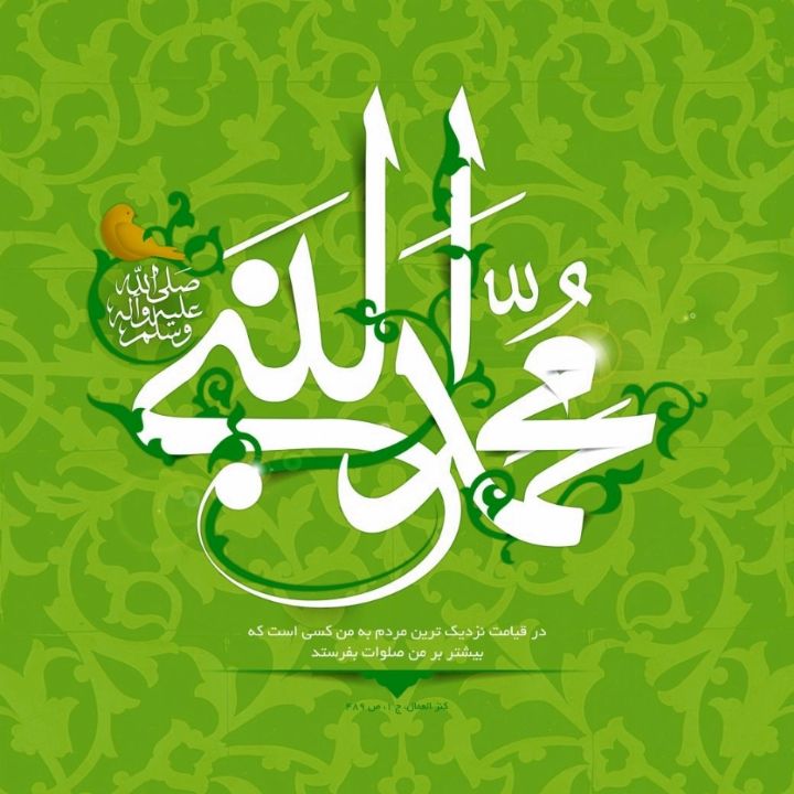 جلد کتاب صوتی گُل محمدی