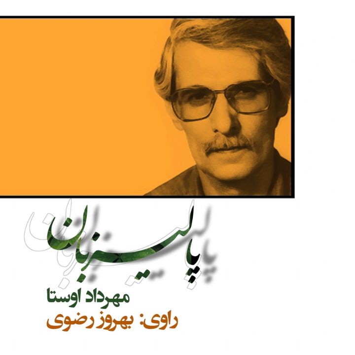 جلد کتاب صوتی پالیزبان