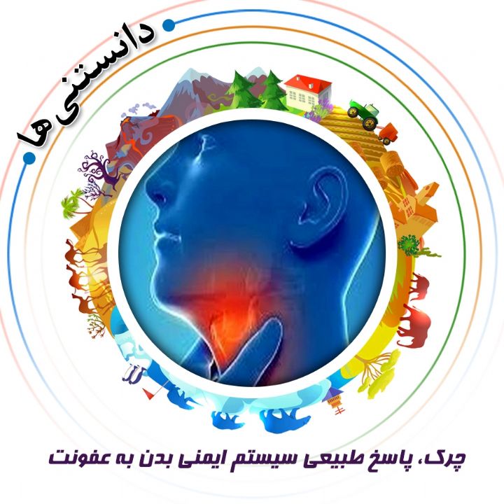 جلد کتاب صوتی چرک، پاسخ طبیعی سیستم ایمنی بدن به عفونت