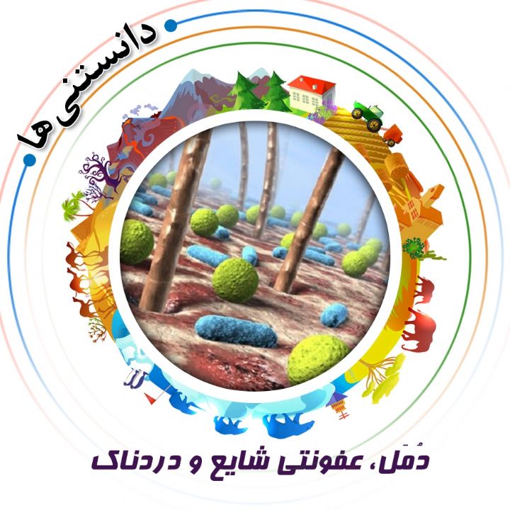 جلد کتاب صوتی دُمَل، عفونتی شایع و دردناک