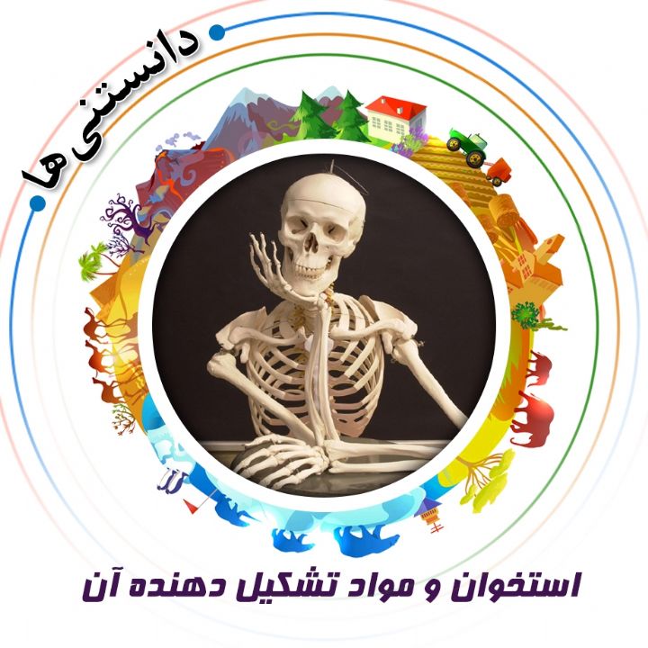 جلد کتاب صوتی استخوان و مواد تشکیل دهنده آن